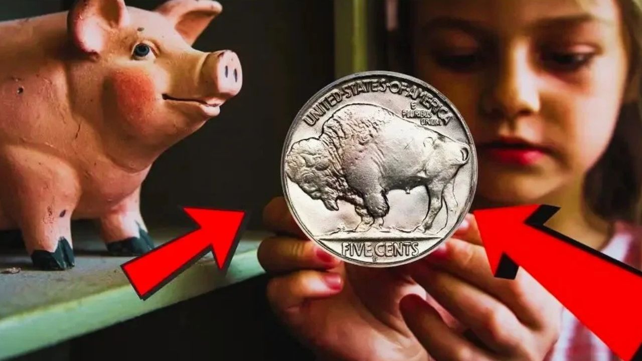 Buffalo Nickel